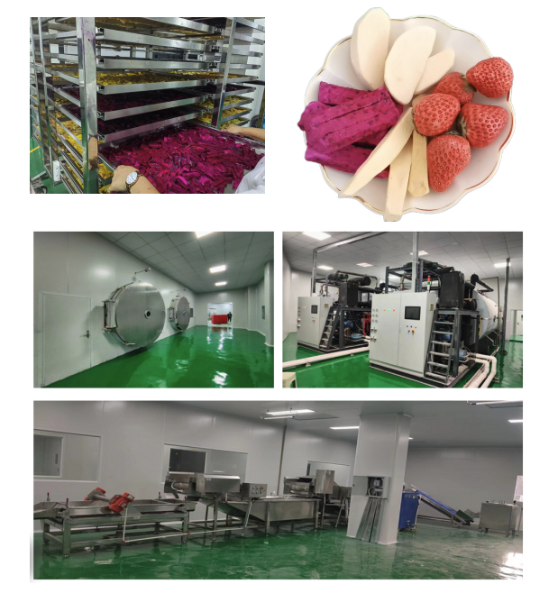 Fruit and vegetable freeze-drying production line
