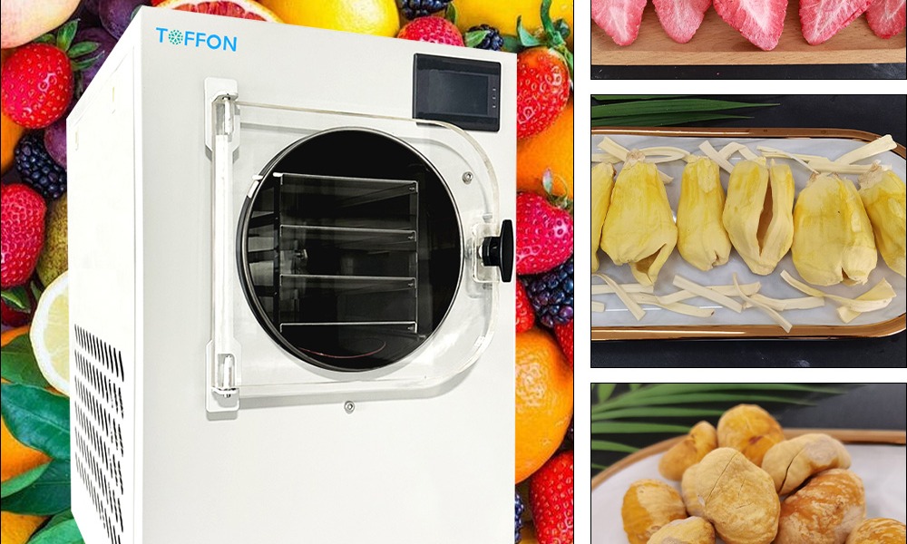 草本传奇：冻干冬虫夏草的养生秘诀