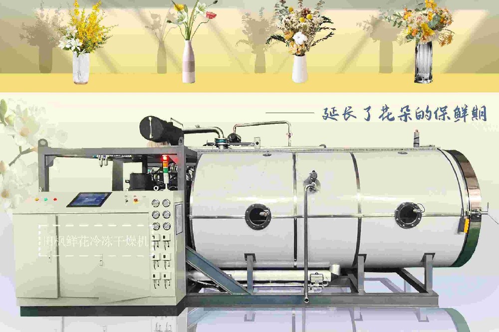 永不凋谢的美：冻干花卉的保鲜艺术