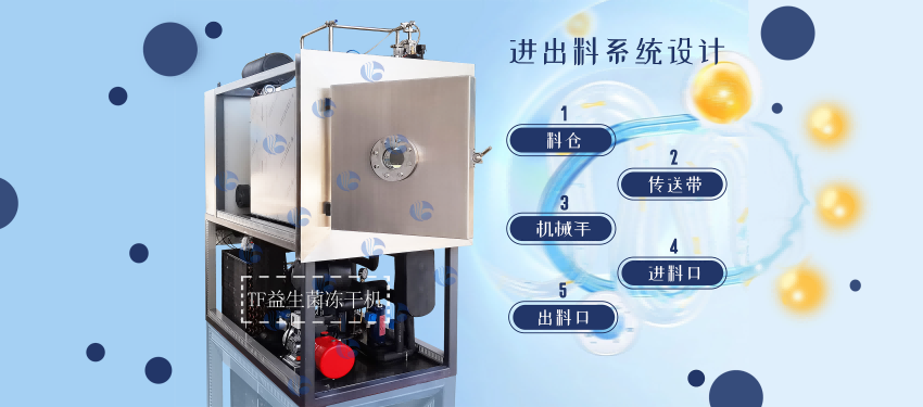 冻干机制造：奶酪的便捷营养选择