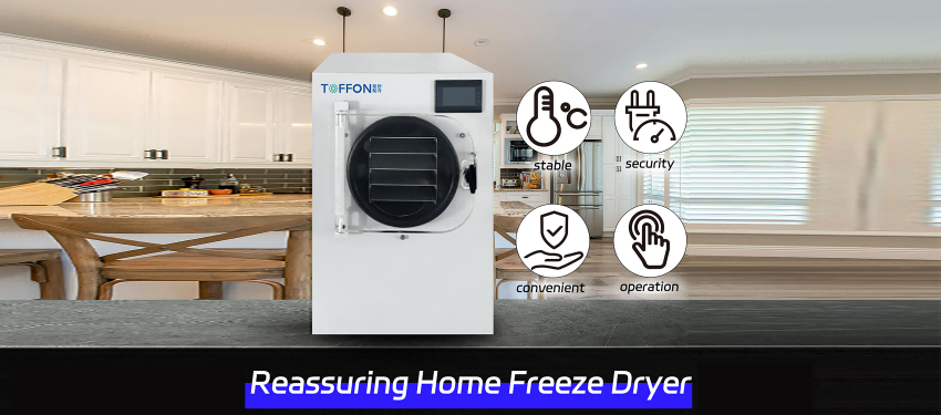 宠物健康守护者：冻干机工艺