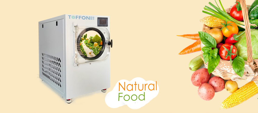 冻干机下的蔬菜：健康食品的纯净与营养